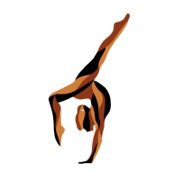 Logo Gym Avenir Pouancéen